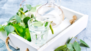 Xylitol et sorbitol, deux sucres alcools